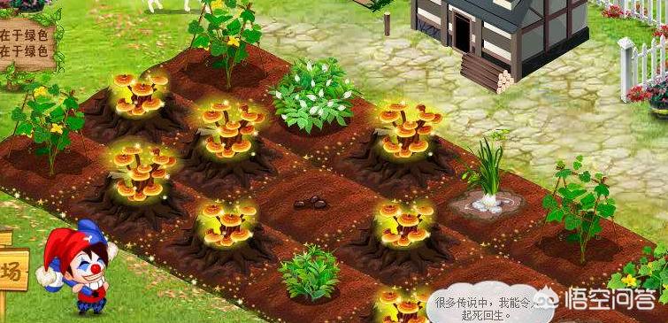 《羊了个羊》小游戏爆火_羊 游戏