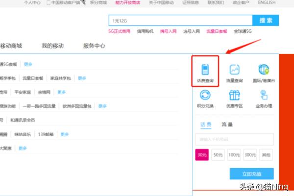 中国移动话费详单_中国移动话费详单怎么查询