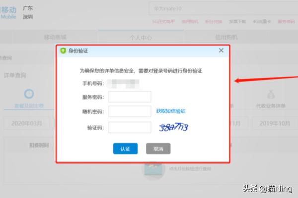 中国移动话费详单_中国移动话费详单怎么查询