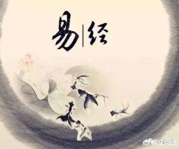 紫薇之术_紫薇之术中的紫薇是什么意思