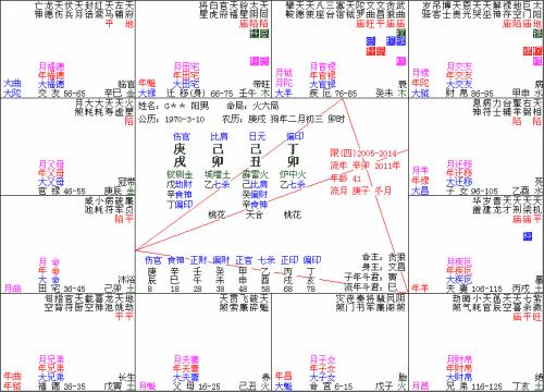 紫薇之术_紫薇之术中的紫薇是什么意思