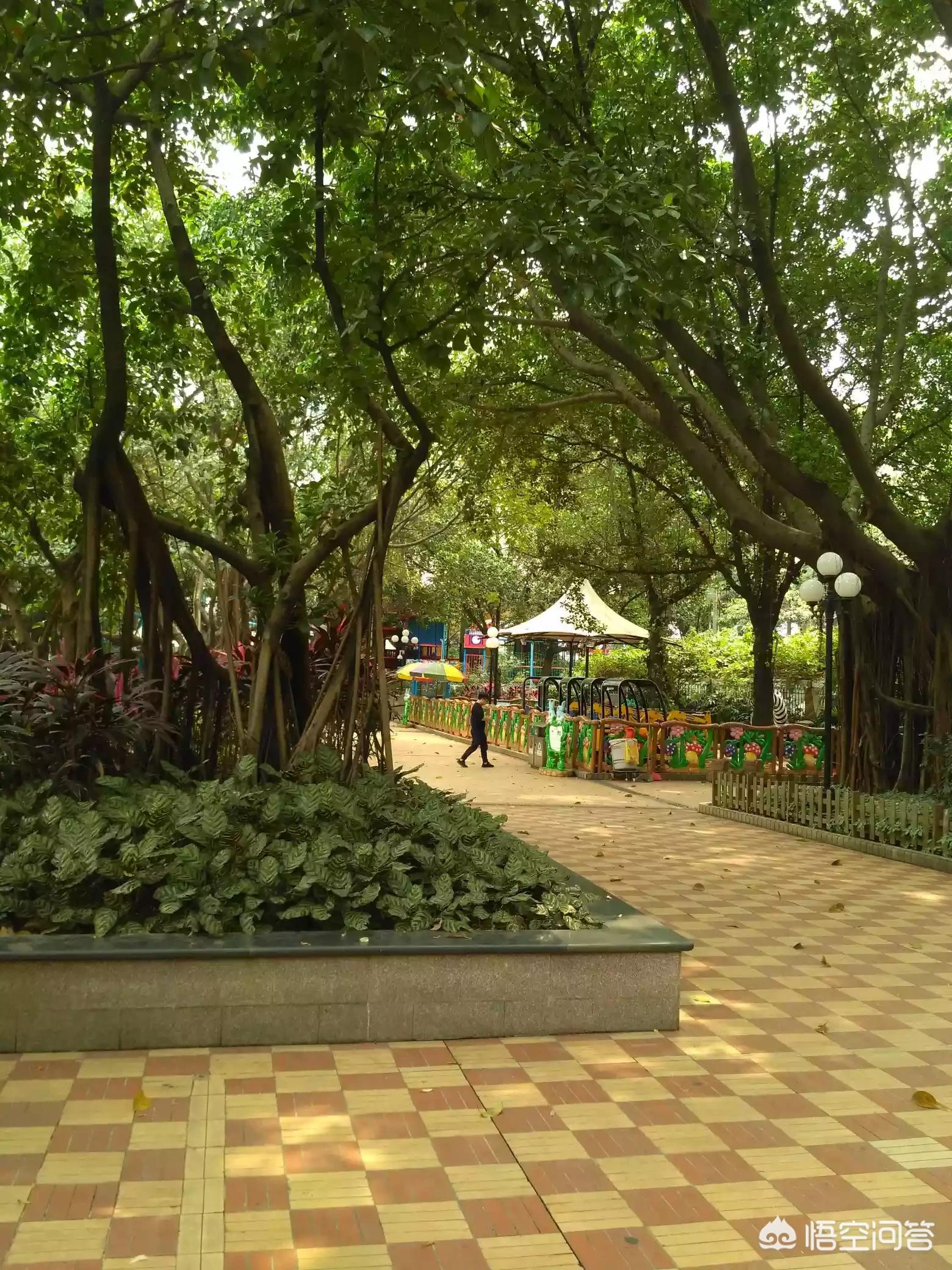 一场秋雨一场寒有科学依据吗_一场秋雨一场寒有科学依据吗?