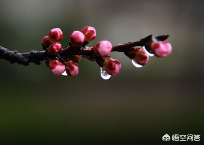一场秋雨一场寒有科学依据吗_一场秋雨一场寒有科学依据吗?