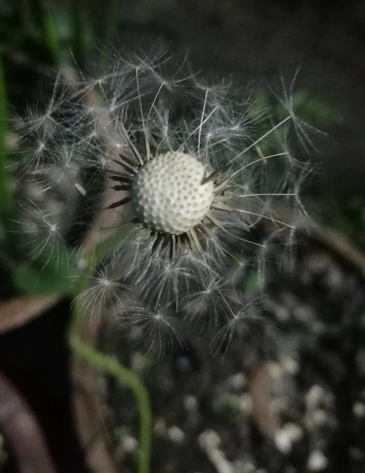 雨后的故事 动态图片_雨后的故事动态图片找不到