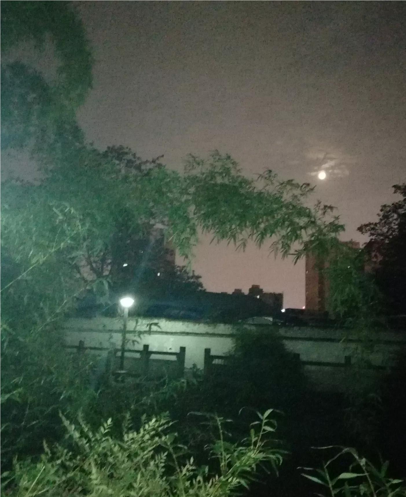 雨后的故事 动态图片_雨后的故事动态图片找不到
