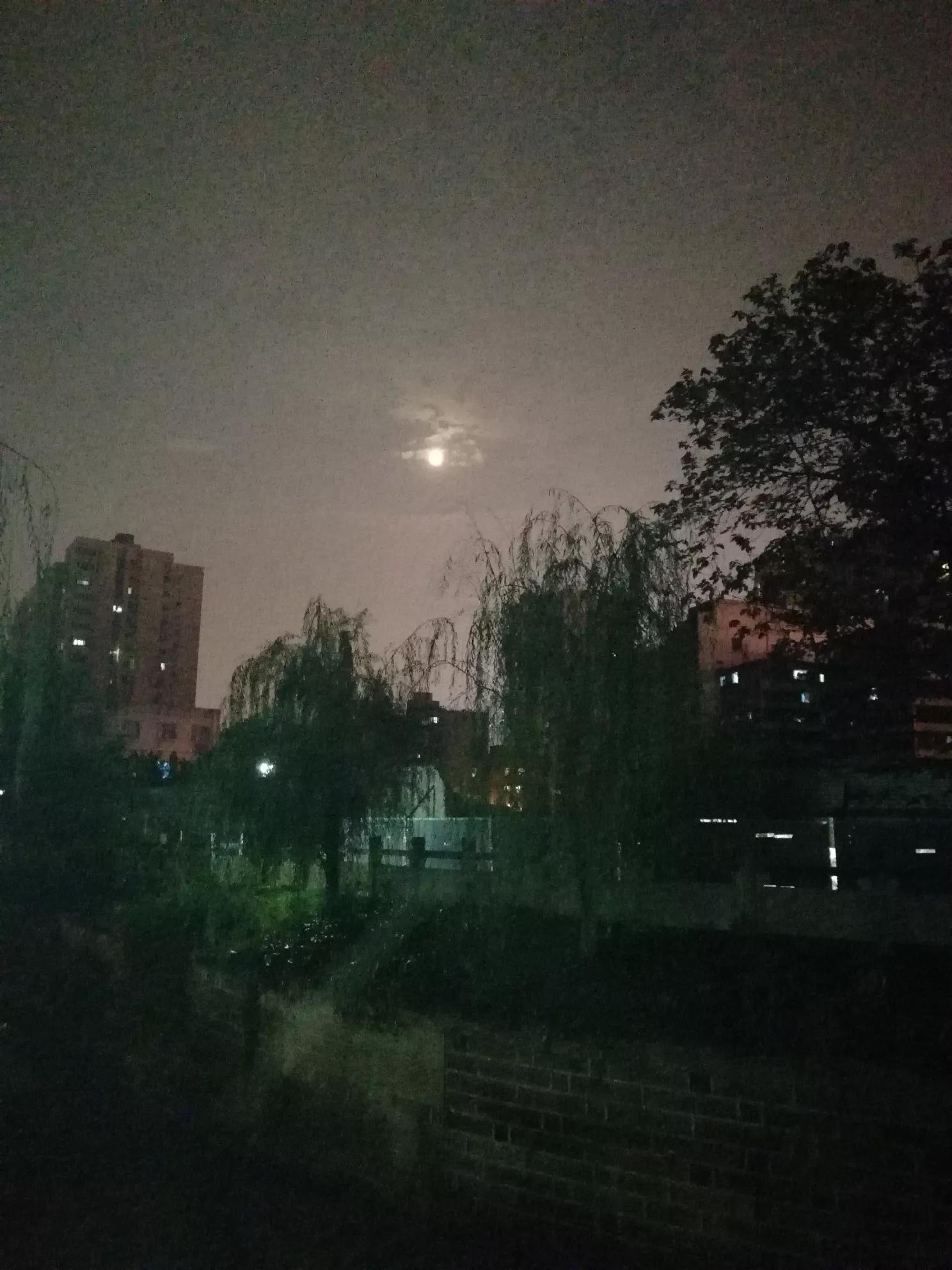 雨后的故事 动态图片_雨后的故事动态图片找不到