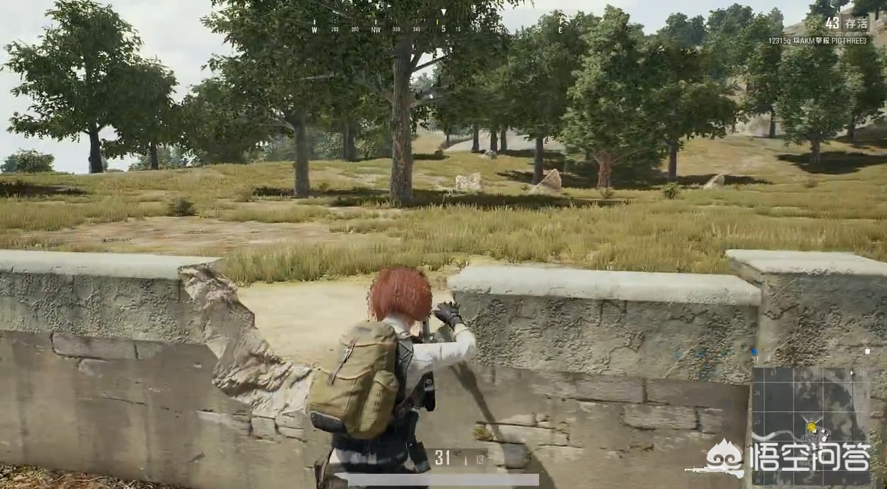 tpp fpp_tpp fpp全称