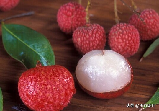 苏轼因为什么水果_苏轼因为什么水果,不辞长作岭南人