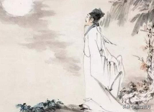 苏轼因为什么水果_苏轼因为什么水果,不辞长作岭南人