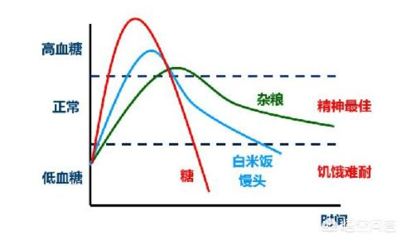 荔枝吃多了会导致低血糖吗?蚂蚁_荔枝吃多了会造成低血糖吗
