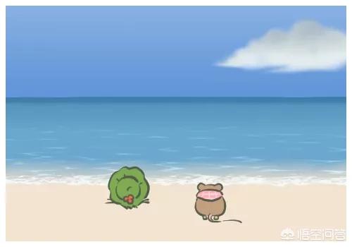 旅行青蛙明信片_