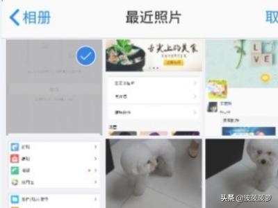 qq名片背景_QQ名片背景怎么设置