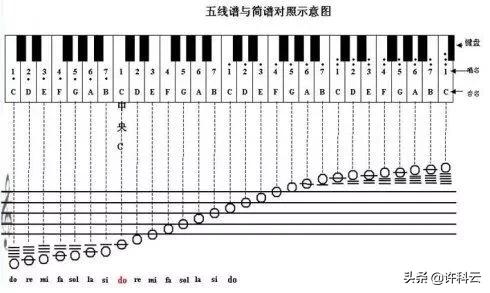 你要的不是我简谱_你要的不是我简谱 第