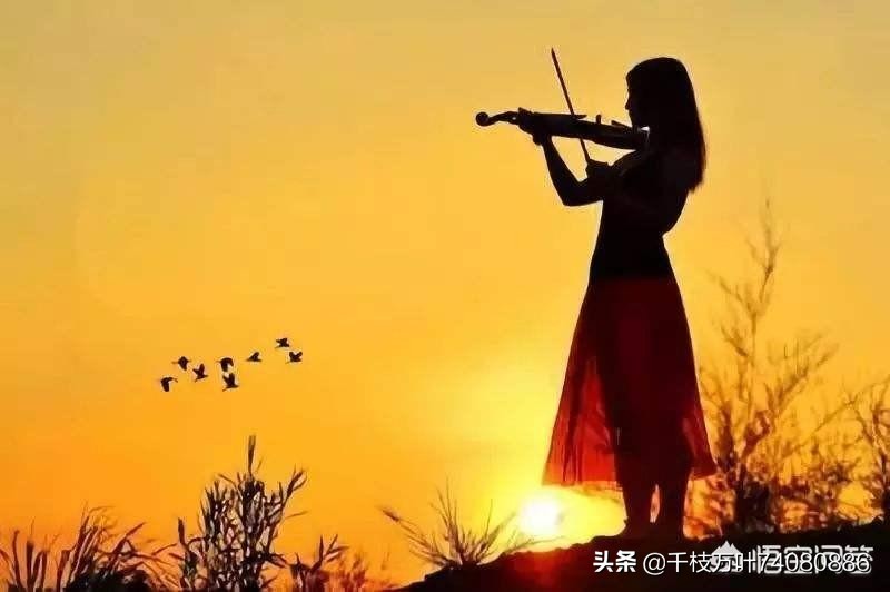 你要的不是我简谱_你要的不是我简谱 第