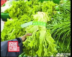 无公害蔬菜和绿色蔬菜哪个更安全_无公害蔬菜和绿色蔬菜哪个更安全些
