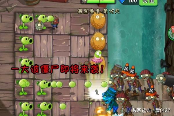 海盗港湾第七天_海盗港湾第七天简单