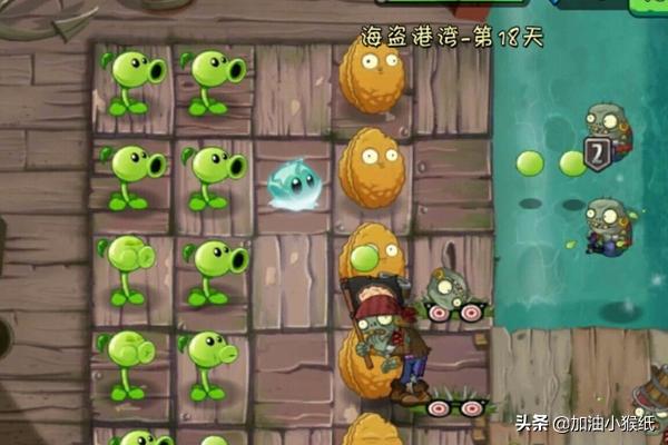 海盗港湾第七天_海盗港湾第七天简单