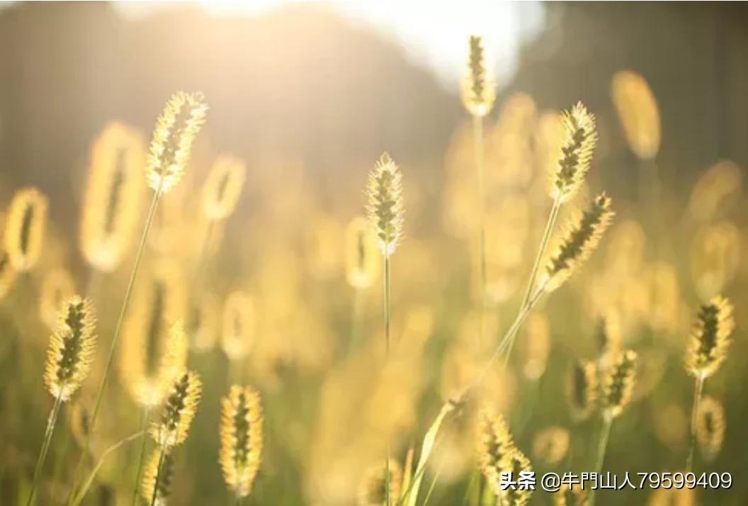 雨后的小故事动态图片_雨后的小故事动态图片素材