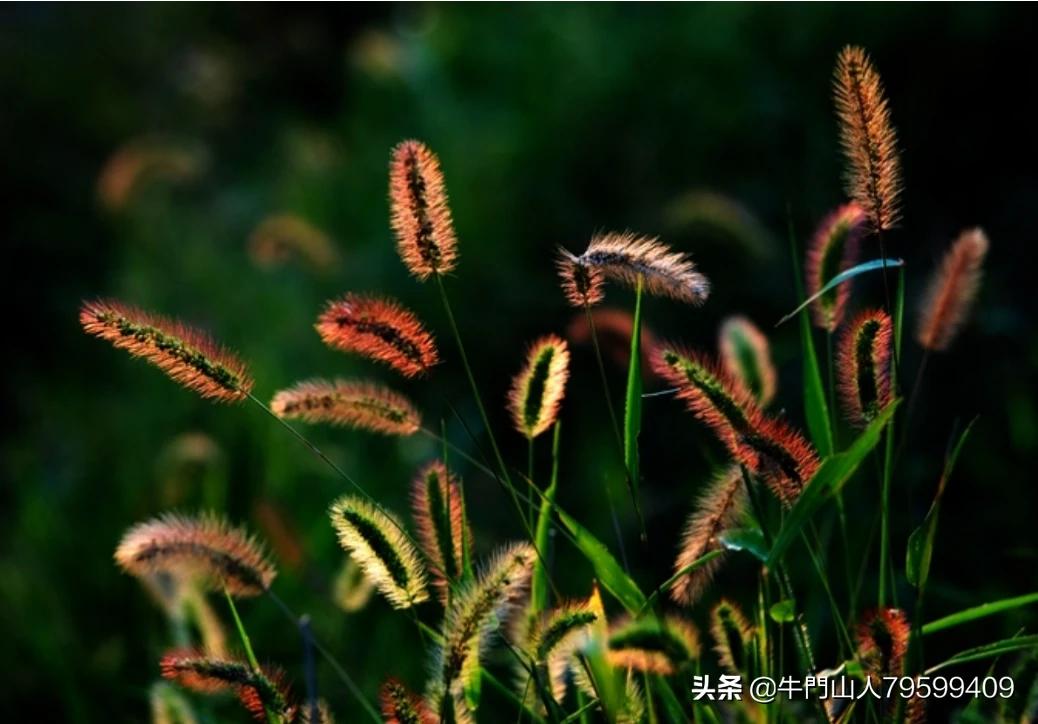 雨后的小故事动态图片_雨后的小故事动态图片素材