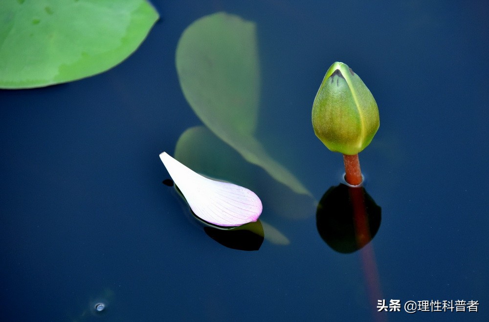 主线2_主线2.0配多大子线