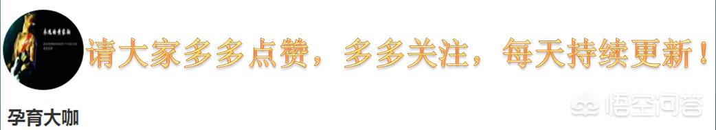猫咪社区免费资源在线观看_猫咪社区免登录技术爱好者
