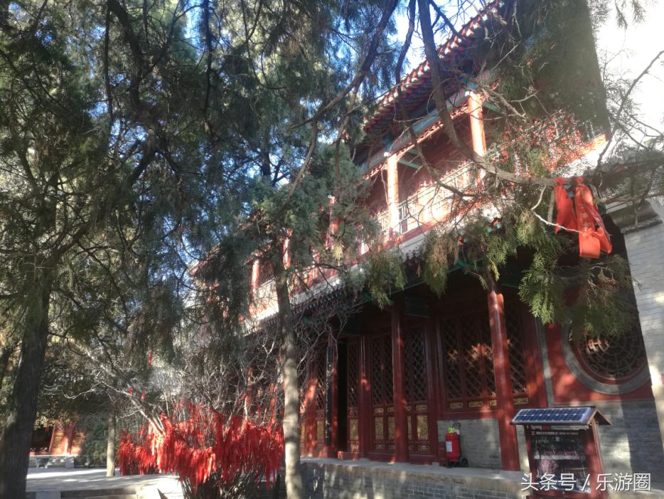 体力宝珠_体力宝珠有什么用