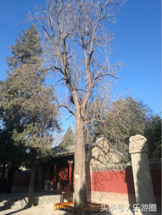 体力宝珠_体力宝珠有什么用