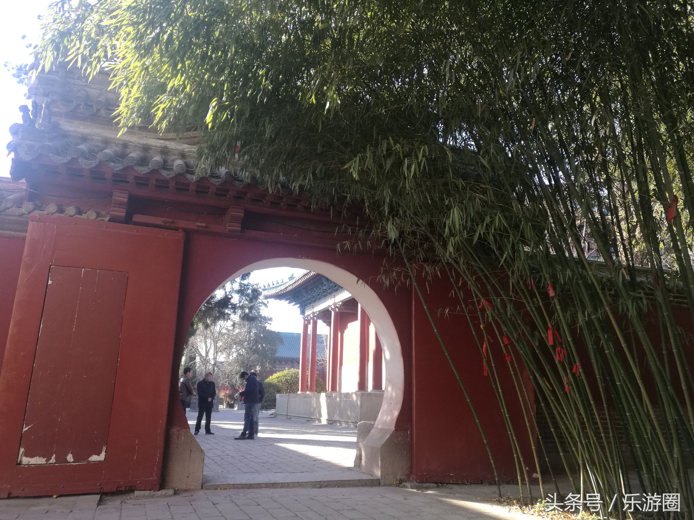 体力宝珠_体力宝珠有什么用