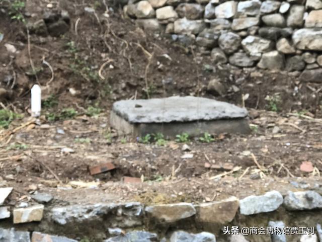 古董就是玩儿_古董就是玩儿下载