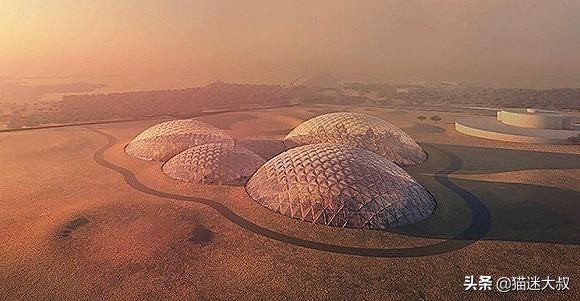 月球上能不能种菜蚂蚁庄园_月球上面能不能种菜 月球上能不能种菜蚂蚁庄园_月球上面能不能种菜