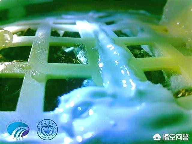 月球上能不能种菜蚂蚁庄园_月球上面能不能种菜 月球上能不能种菜蚂蚁庄园_月球上面能不能种菜