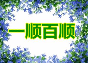 女人是老虎歌词_女人是老虎歌词完整版