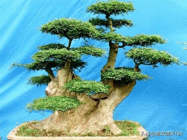 微信头像1_微信头像100张