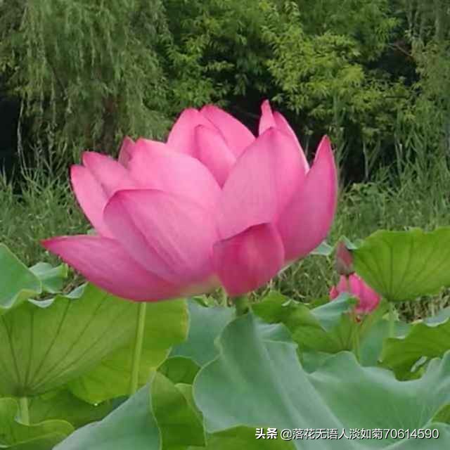 微信头像1_微信头像100张