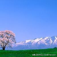 微信头像1_微信头像100张