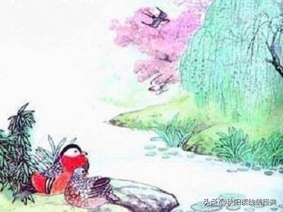 泥融飞燕子沙暖睡鸳鸯是哪个季节_泥融飞燕子沙暖睡鸳鸯是什么季节的诗