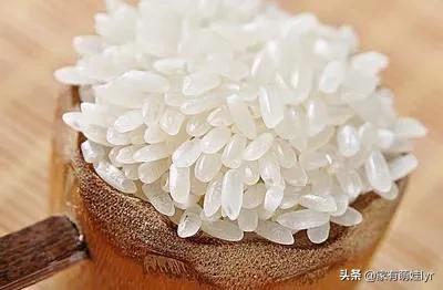 水稻主要成分_水稻主要成分是什么