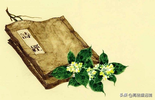 五天_五天没有大便也没有便意怎么办