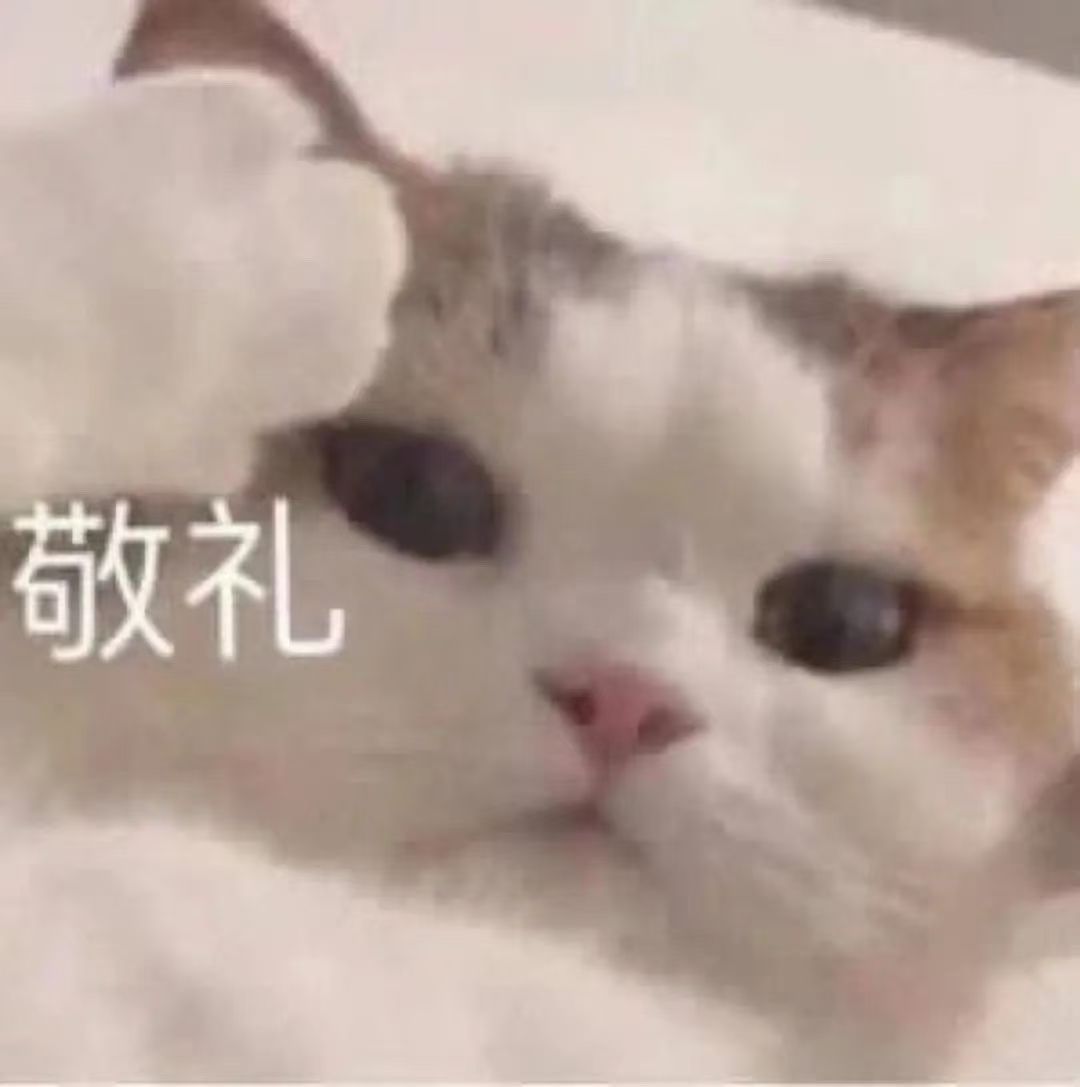 猫咪社区视频在线播放_