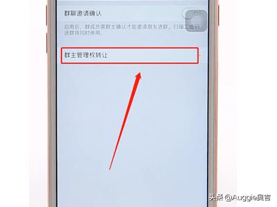怎么转让群主_怎么转让群主给指定的人
