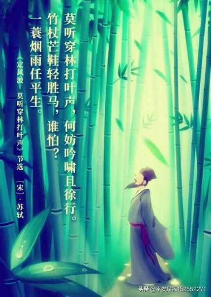 任平生_任平生的小说