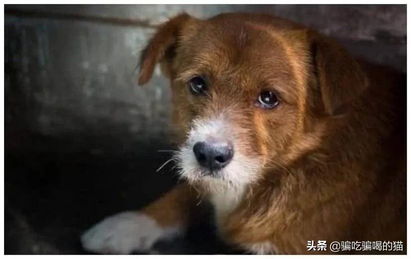 动物世界app 赚钱靠谱吗_动物世界app赚钱合法吗