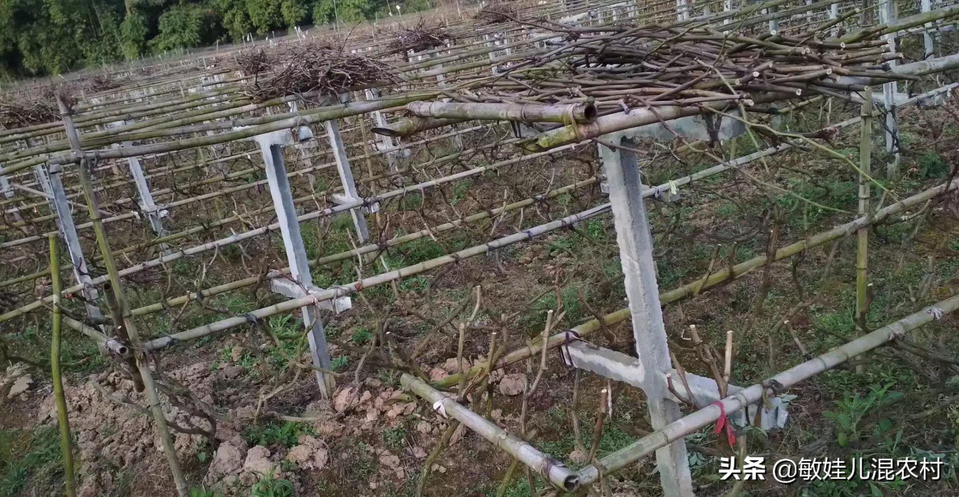 网聚_网聚房山招聘网