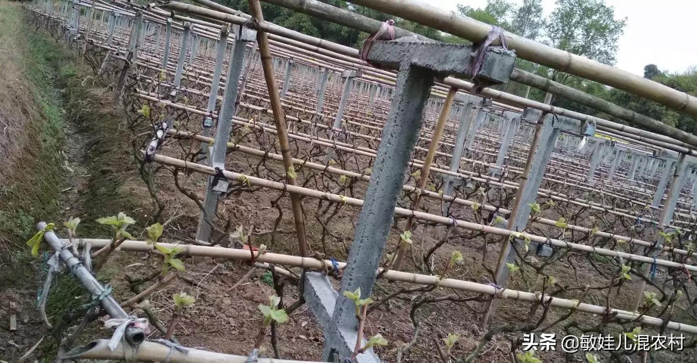 网聚_网聚房山招聘网