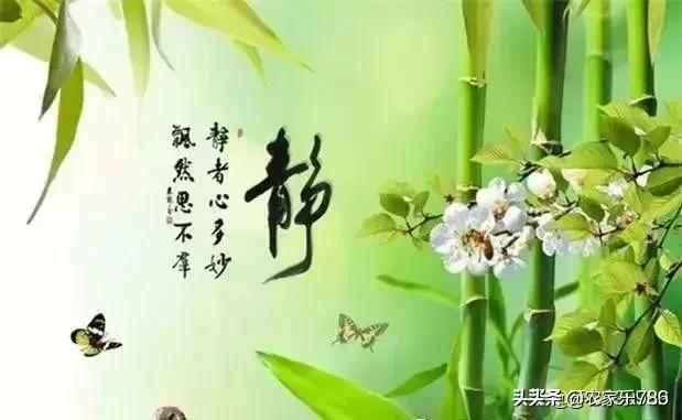 找个人_找个人怎么查他的地址