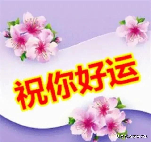 找个人_找个人怎么查他的地址