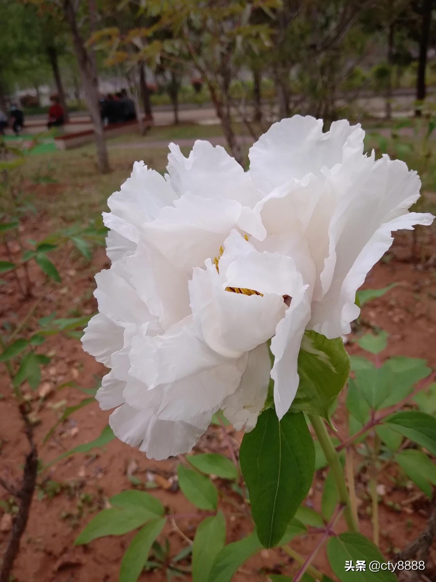 旅游节半价景点_旅游节半价景点上海