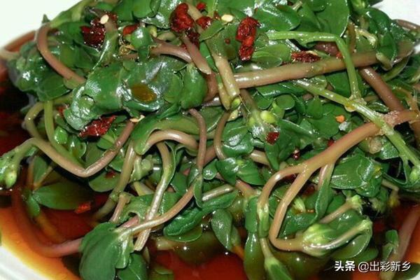 烹饪食谱_魔兽世界怀旧服烹饪食谱