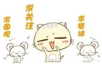 fgo本能寺攻略_fgo 本能寺 攻略