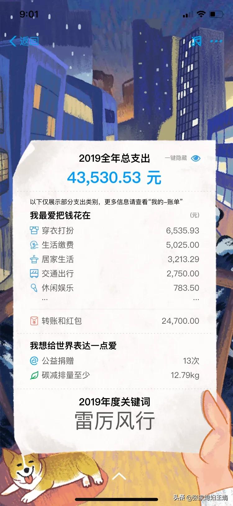 支付宝2019年度账单_支付宝2019年度账单怎么查